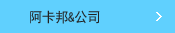 阿卡邦&公司