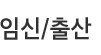 임신/출산